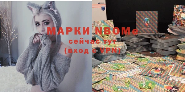 молекула духа Покров