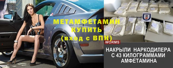 прущие грибы Покровск