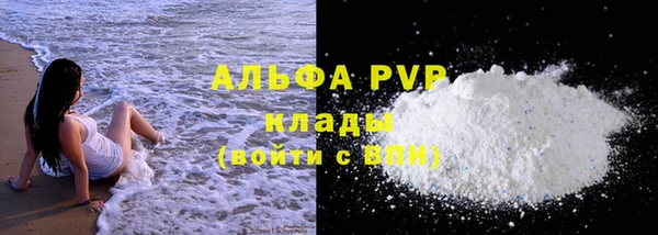 прущие грибы Покровск