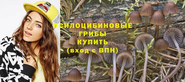 скорость Арсеньев