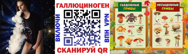 где купить наркотик  Артёмовский  hydra как зайти  Псилоцибиновые грибы мицелий 